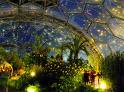 Eden Project Cornwall